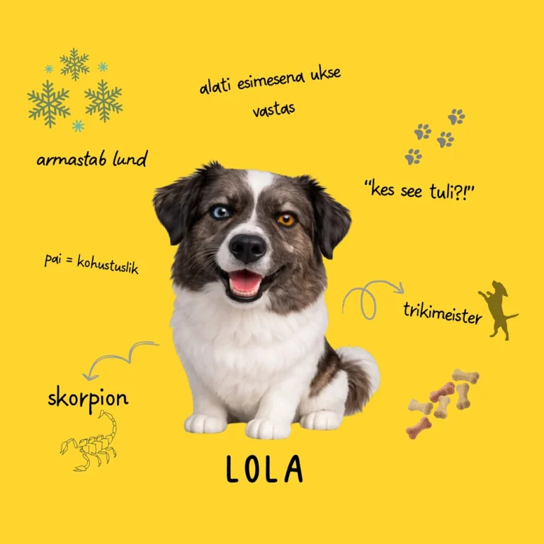 Instagram post from peensalu_kook. This post is in position 7.