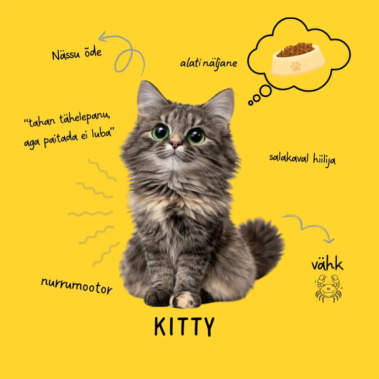 Instagram post from peensalu_kook. This post is in position 9.